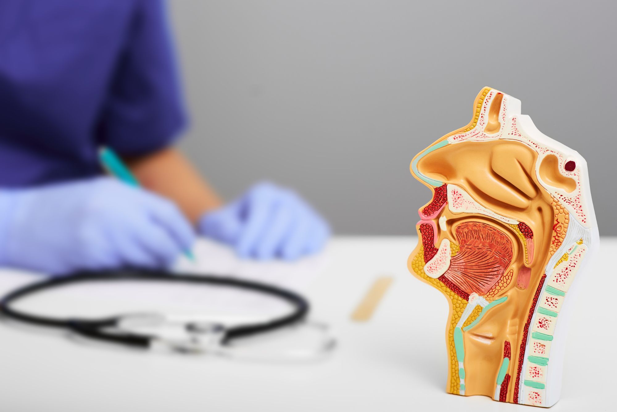 An ENT doctor sits at her desk, taking notes on a patient's chart near a model of the ear, nose, throat, and neck.